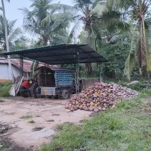 Sale Kurunegala, Fruit Bearing Coconut Estate (MGS2036)