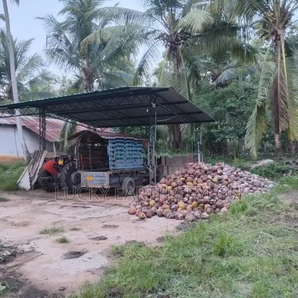 Sale Kurunegala, Fruit Bearing Coconut Estate (MGS2036)