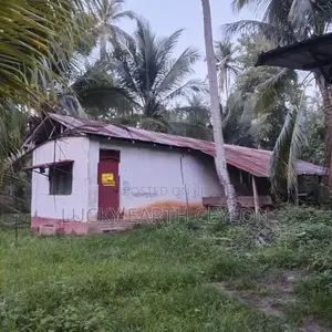 Sale Kurunegala, Fruit Bearing Coconut Estate (MGS2036)