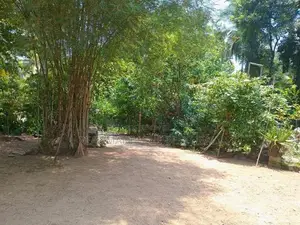 Bentota : 4BR (111P) House for Sale at Mahainduruwa