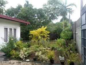 17 Perches Land Sale in Mount Lavinia