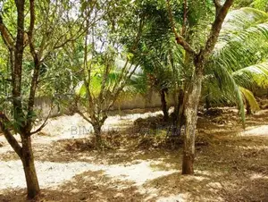 31.4 P Residential Land in – Ratuwilawatta Road, Athurugiriya | SL1473
