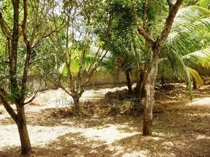 31.4 P Residential Land in – Ratuwilawatta Road, Athurugiriya | SL1473