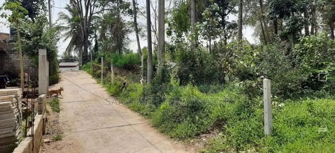 Land in Manikhinna Kengalla Rd - Kandy For Sale