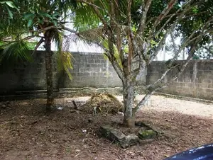 31.4 P Residential Land in – Ratuwilawatta Road, Athurugiriya | SL1473
