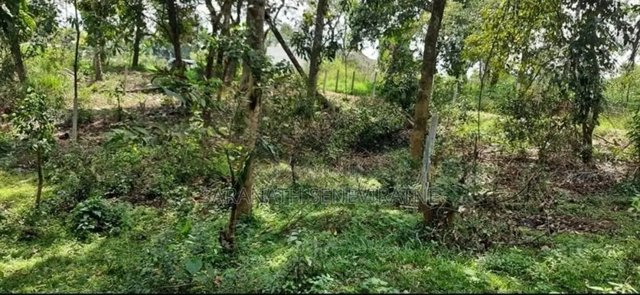 Land in Manikhinna Kengalla Rd - Kandy For Sale
