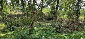 Land in Manikhinna Kengalla Rd - Kandy For Sale