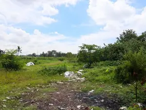 Land for Sale in Wallampitiya