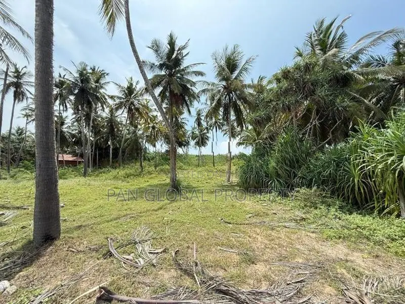 Beach Land for Sale In Tangalle