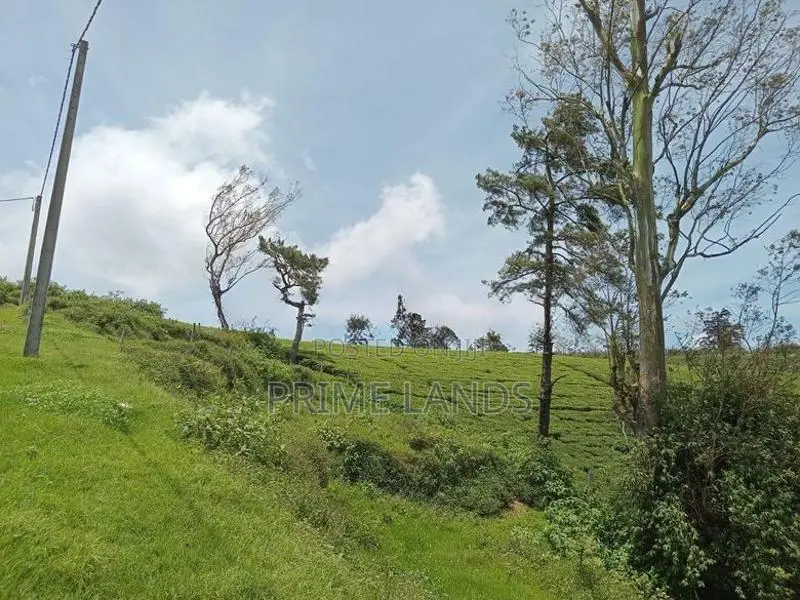 Land for sale NBRO ok Nuwaraeliya