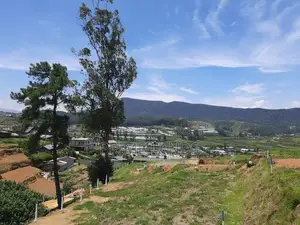 Valuable land for sale NBRO ok Nuwaraeliya
