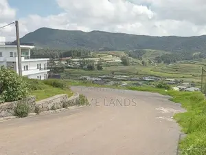 Valuable land for sale NBRO ok nuwaraeliya road