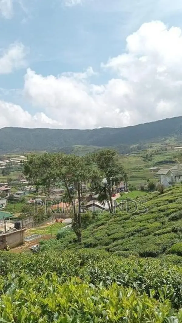 Land for Sale Nuwara Eliya Road