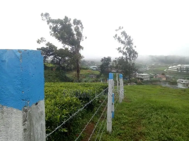 Land for sale NBRO ok Nuwaraeliya
