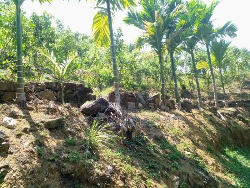 (AF449) Highly Commercial Estate in Eheliyagoda for Sale!