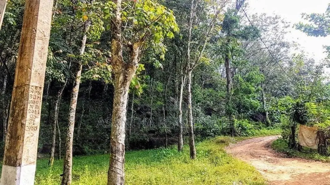 (AF455) 9 ACRE +10 ( 19 Acres ) FOR SALE at NEBODA-MATUGAMA
