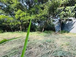 13.7 Land at Gamunu pura 1st Lane, Mel fort 3rd estate Malabe