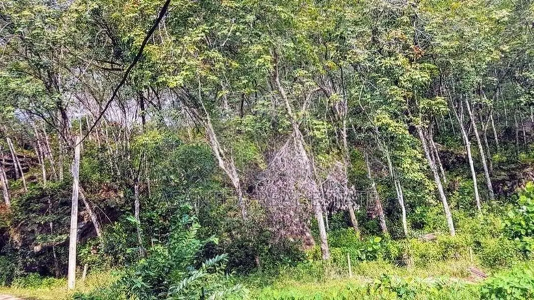 (AF455) 9 ACRE +10 ( 19 Acres ) FOR SALE at NEBODA-MATUGAMA