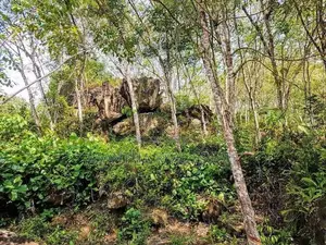 (AF455) 9 ACRE +10 ( 19 Acres ) FOR SALE at NEBODA-MATUGAMA