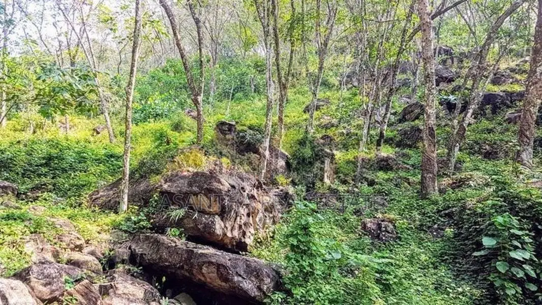 (AF455) 9 ACRE +10 ( 19 Acres ) FOR SALE at NEBODA-MATUGAMA