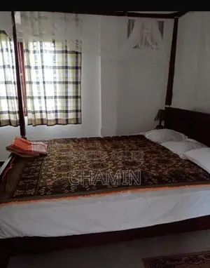 වියන් ඇද