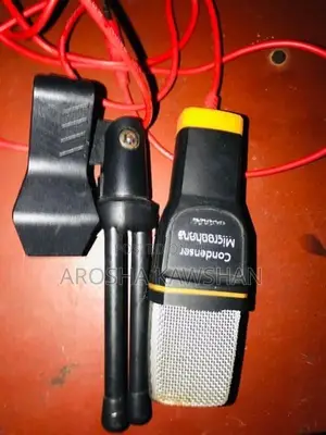 Condenser Mic DM 617