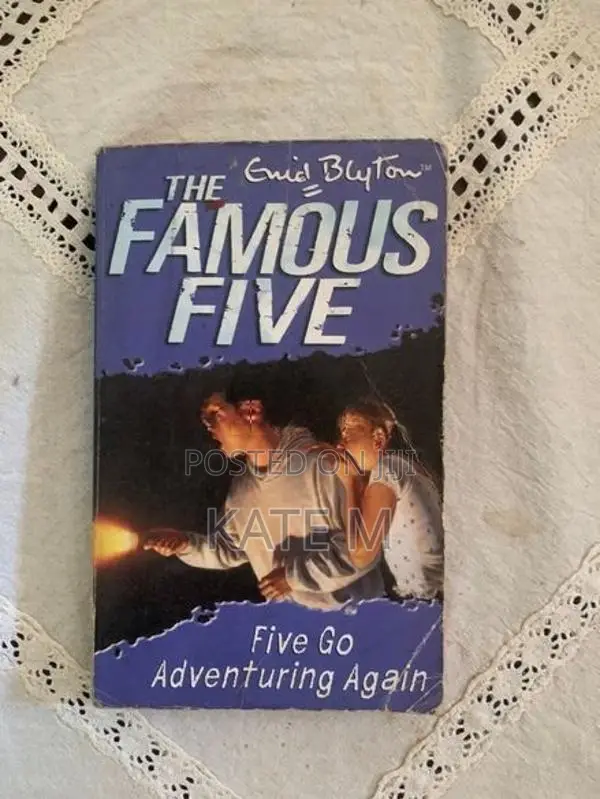 Famous F Ive - Go Story Book