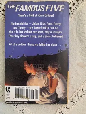 Famous F Ive - Go Story Book