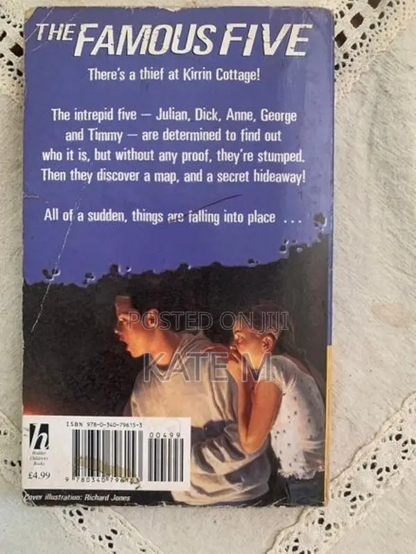 Famous F Ive - Go Story Book