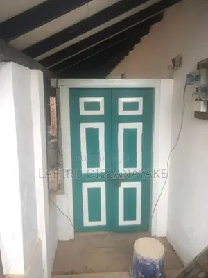 Antique doors