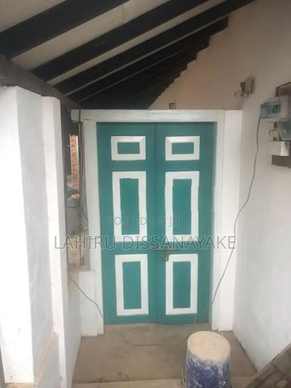 Antique doors