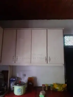 Pantry Cupboard