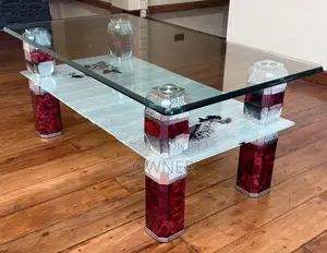 Modern coffee / center table