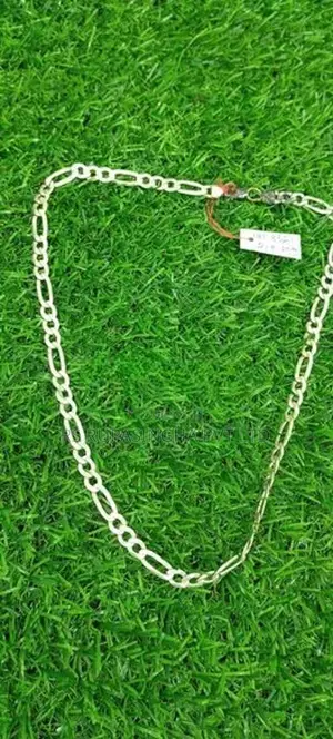 Silver Chain