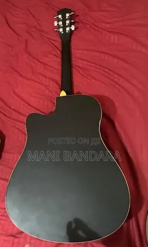 Trinity T-D10 Acoustic Guitar