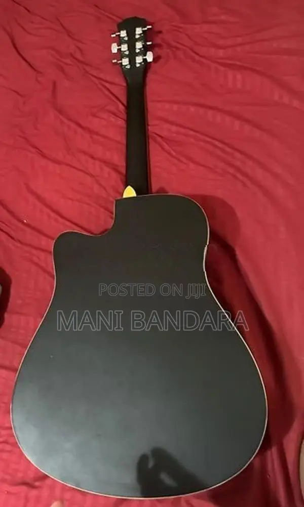 Trinity T-D10 Acoustic Guitar