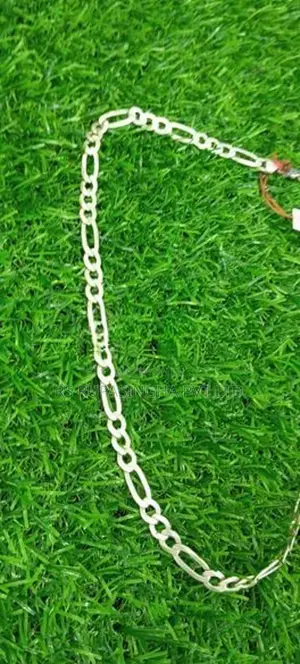 Silver Chain