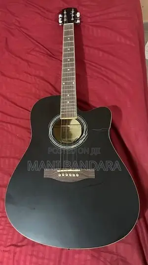 Trinity T-D10 Acoustic Guitar