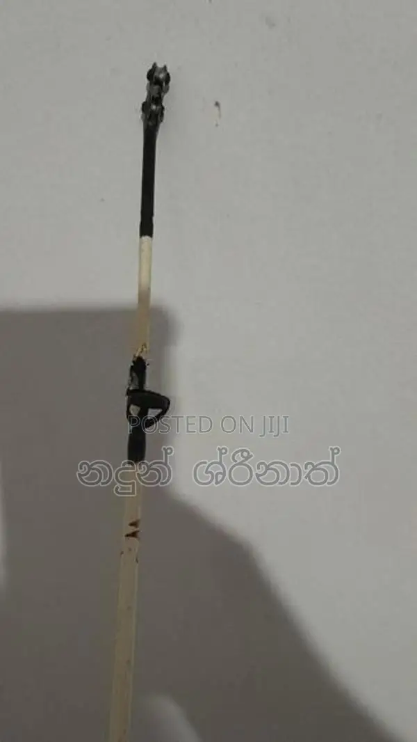 Fishing Rod