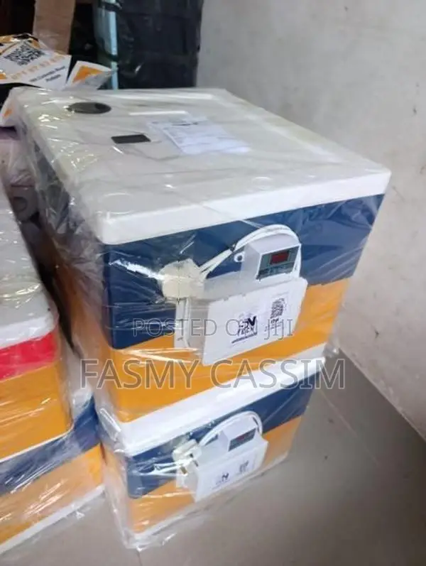 30 Eggs Automatic Stranded Incubator