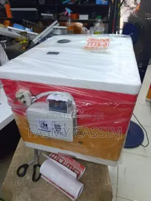 30 Eggs Automatic Stranded Incubator