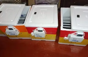 30 Eggs Automatic Stranded Incubator
