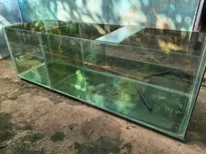 Fish Tank