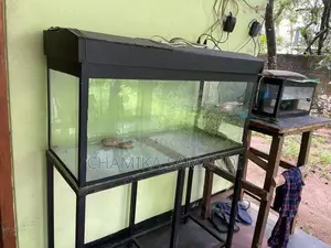 Fish Tank