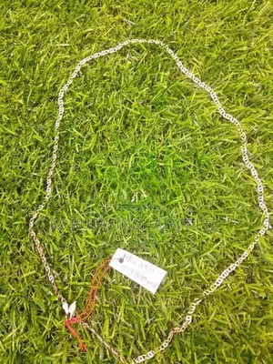 Silver Chain
