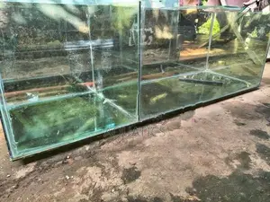 Fish Tank