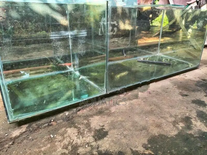Fish Tank