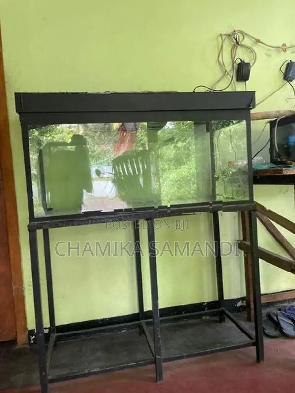 Fish Tank