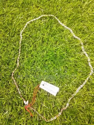 Silver Chain