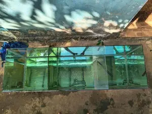 Fish Tank